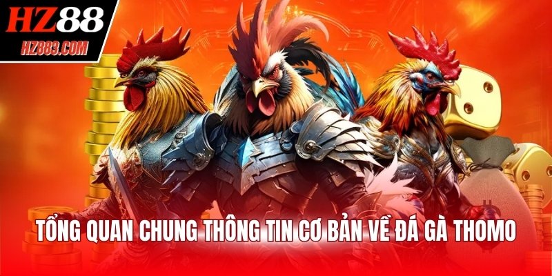 Tổng quan chung thông tin cơ bản về đá gà Thomo